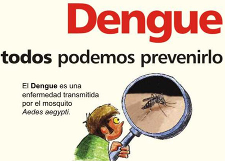 Advierten que aumenta el riesgo por Dengue por las fiestas y vacaciones |  Diario El 9 de Julio