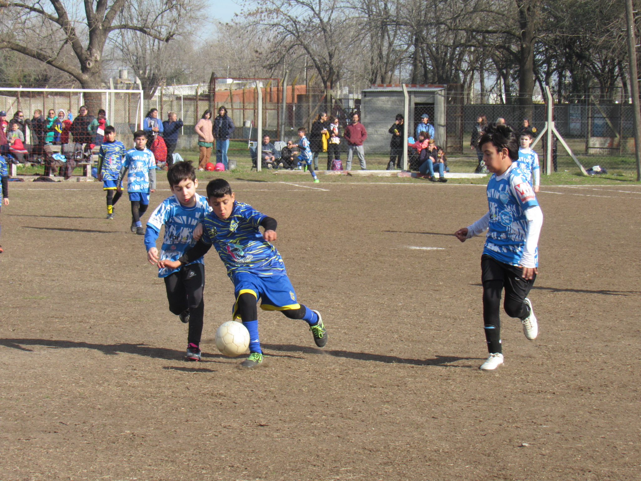 CLUB ATLETICO STOCKOLMO DE BABY FUTBOL: Fotogaleria de las categorias